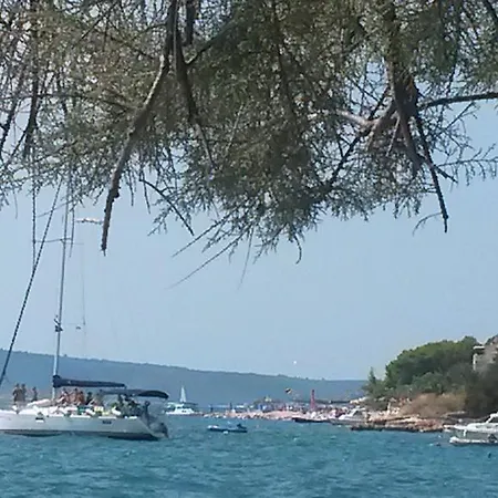 G&b Traù